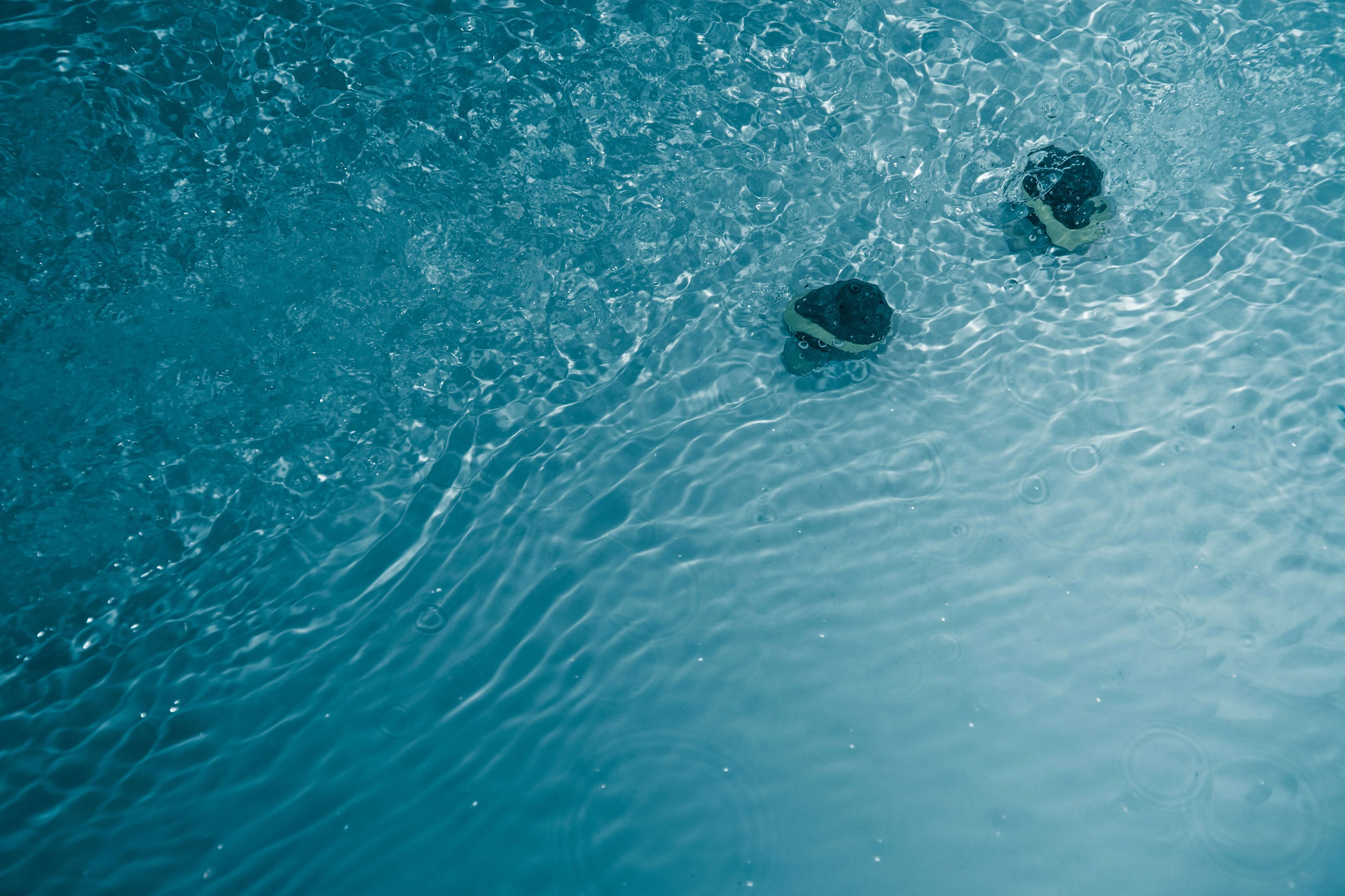 christine-sandu-nbcjslgu0r4-unsplash_1_967a82b4-759a-4f1a-a218-3775fb6be207__PID:4c6f7d13-61af-40f5-988e-c06f8d2e6e4d